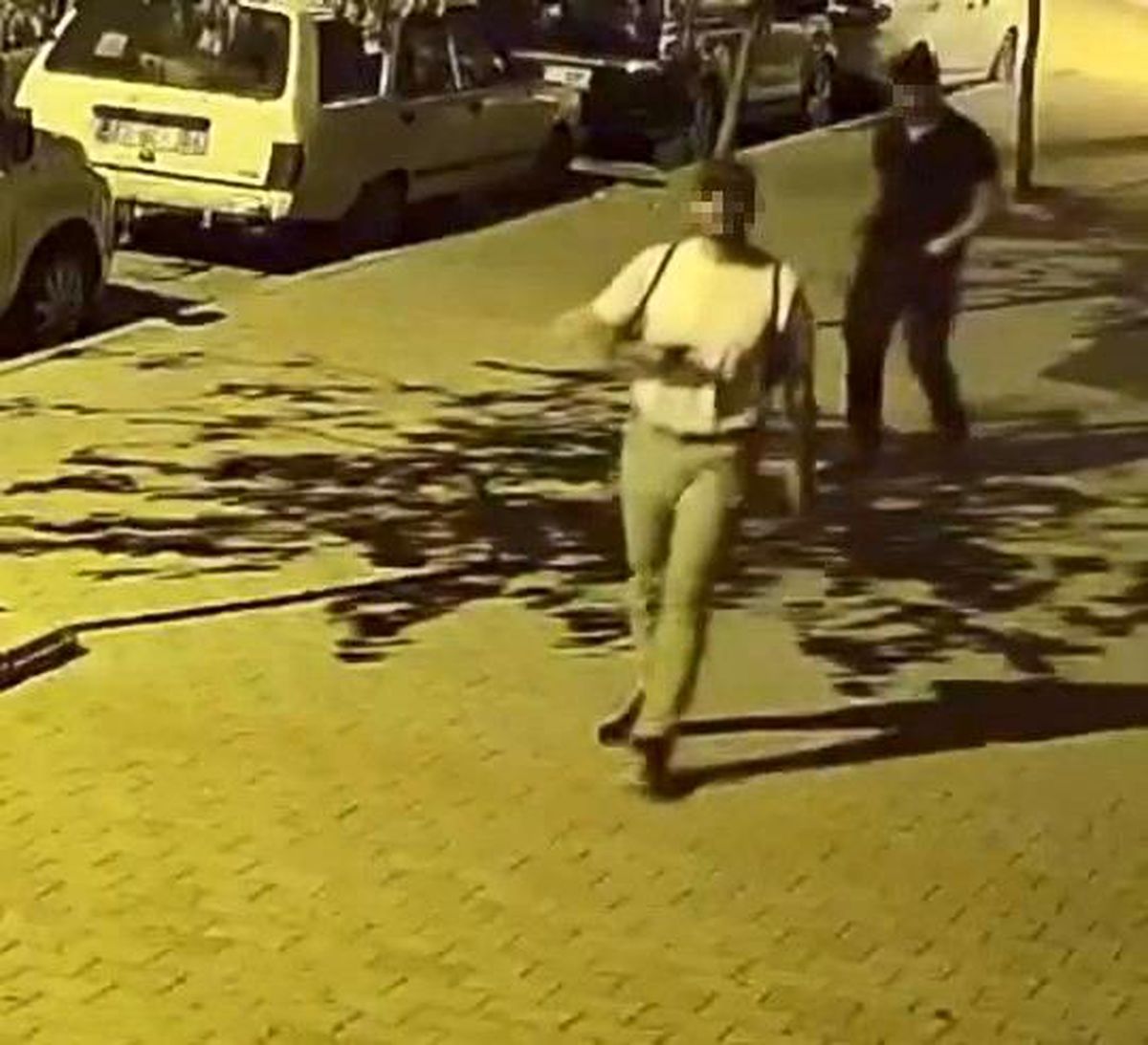 Elazığ'da Elektrikli Bisiklet Hırsızlığı