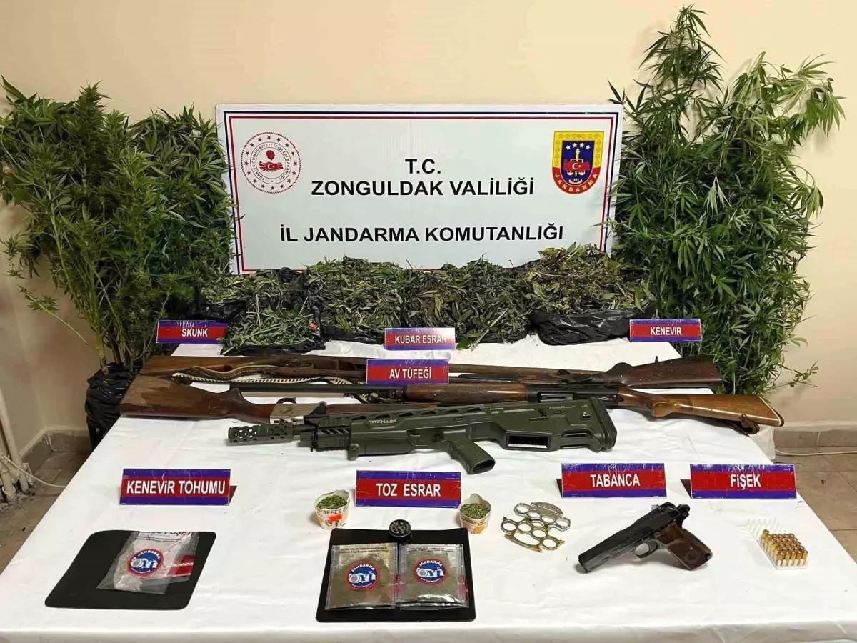 Zonguldak'ta Uyuşturucu Operasyonu: Çok Sayıda Madde ve Silah Ele Geçirildi
