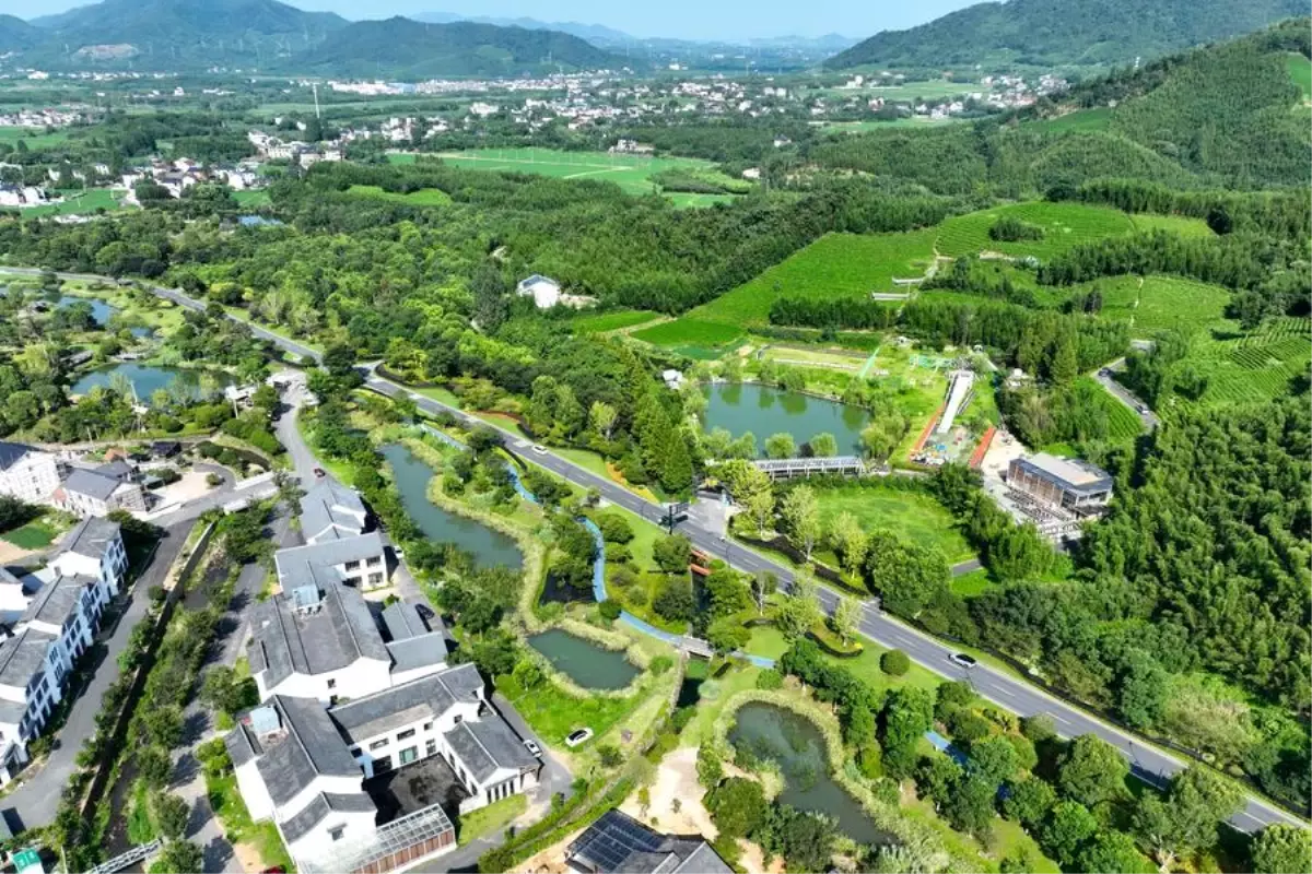 Hangzhou'nun Jingshan Köyü'nde Ekolojik Projelerle Ekonomik Büyüme