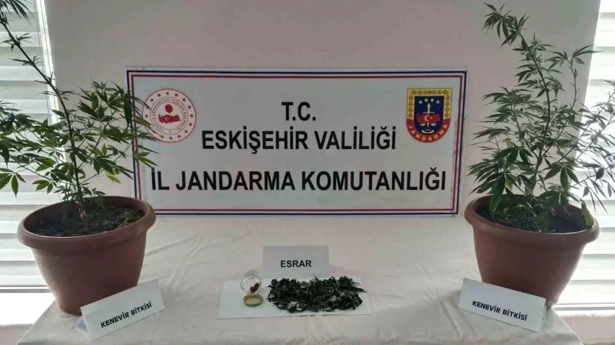 Eskişehir'de Kenevir Buçuklarının Ele Geçirildiği Operasyon