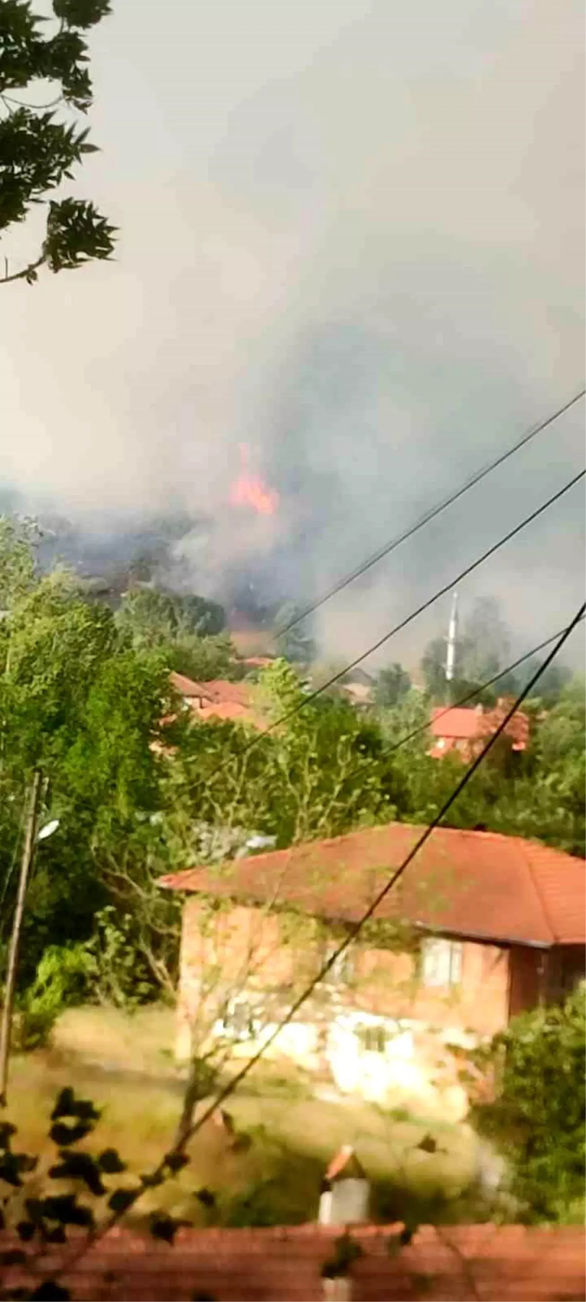 Bartın'da Orman Yangını