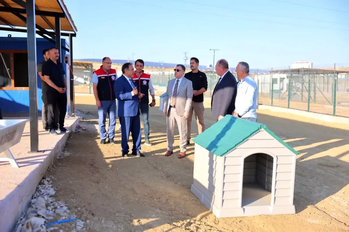 Bayburt'ta Hayvan Bakım Evi ve Doğal Yaşam Alanı İncelemesi