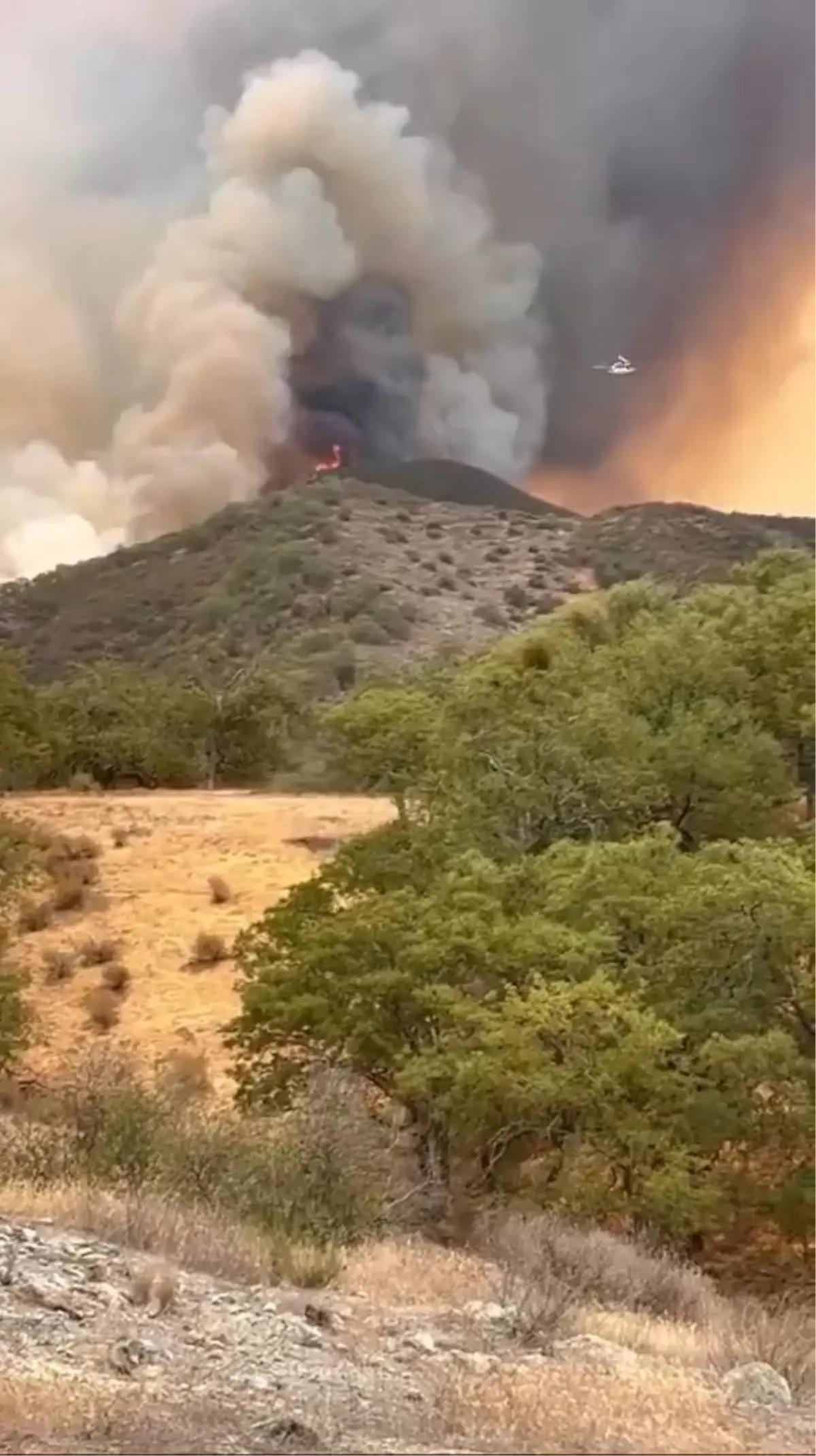 California'daki Orman Yangınında Kontrol Sağlanamıyor
