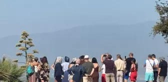 Görüntü Türkiye'den! 30 yıl sonra bir ilk yaşandı, görmek için akın ettiler