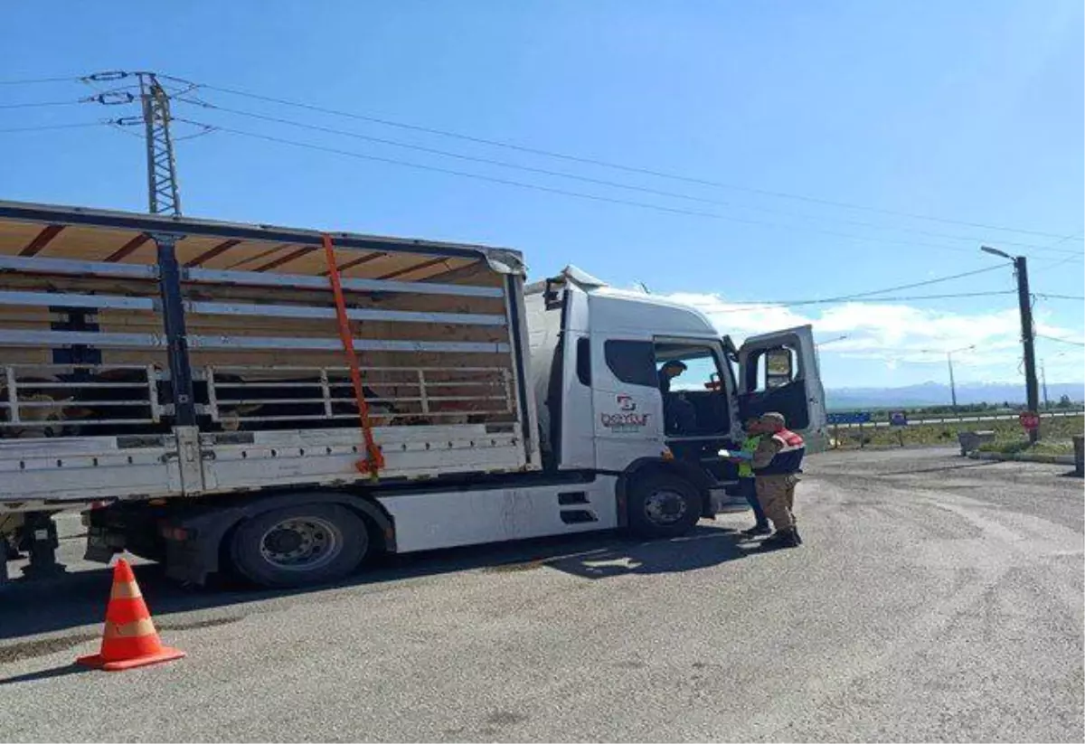 Erzurum'da Düzensiz Göçmen Operasyonu: 24 Yakalandı