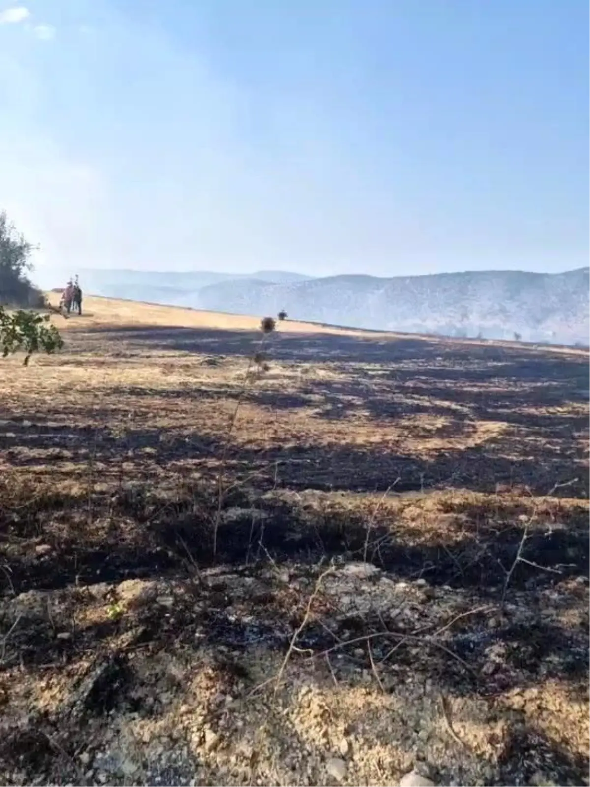 Karabük'te Anız Yangını Kontrol Altına Alındı