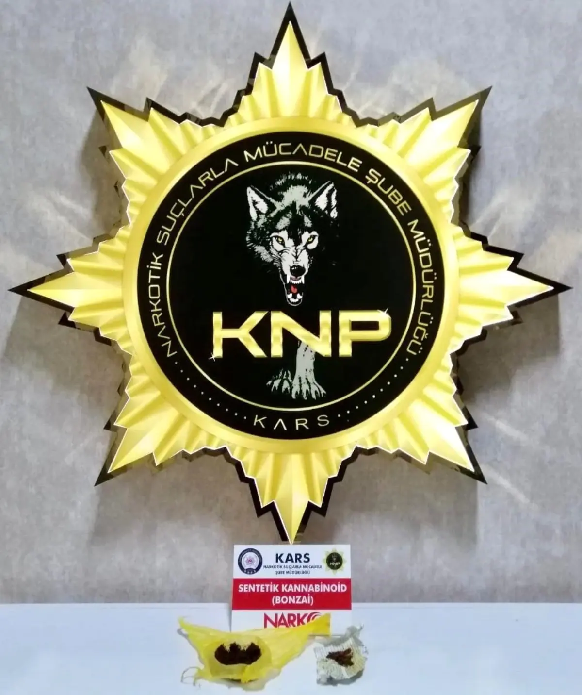Kars'ta Bonzai Operasyonu: 2 Kişi Tutuklandı
