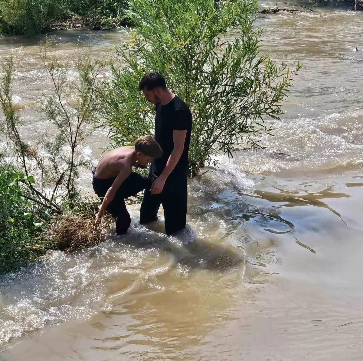 Siirt'te Akıntıya Kapılan 3 Çocuktan 1'i Kayboldu