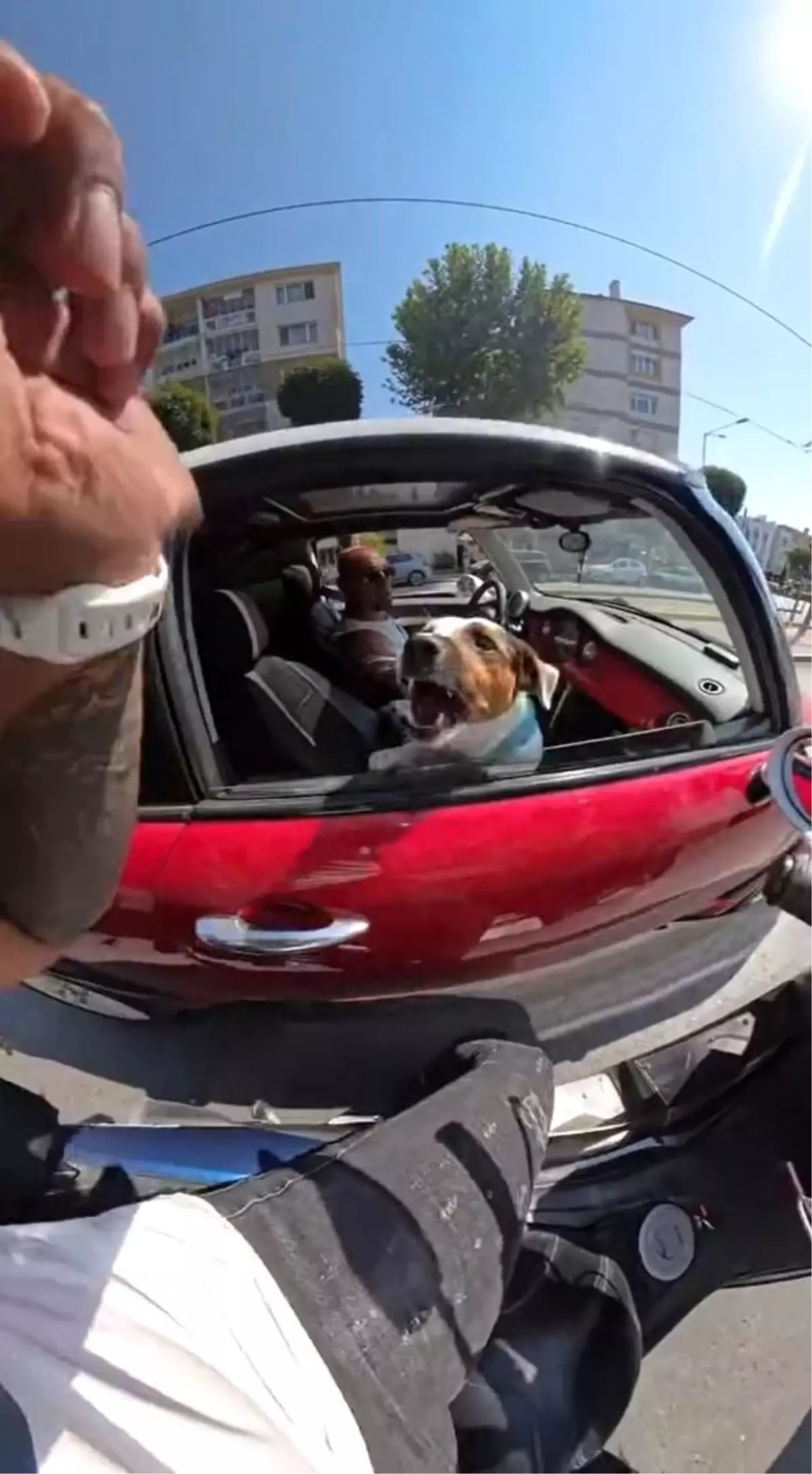 Motosiklet Sürücüsü Köpeğin Hırlamasından Korktu