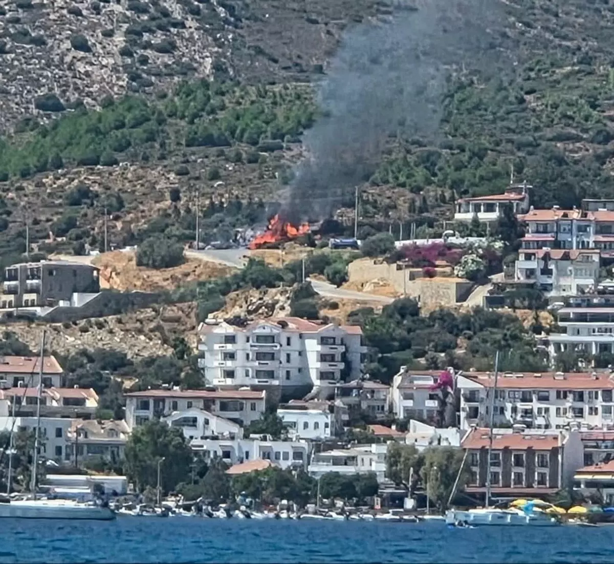Datça'da Maki Yangını: 1.5 Dönüm Alan Zarar Gördü