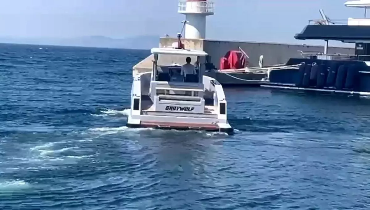 Denizcilik Sektörünün Önemli İsimlerinden Halit Yukay Kayıp