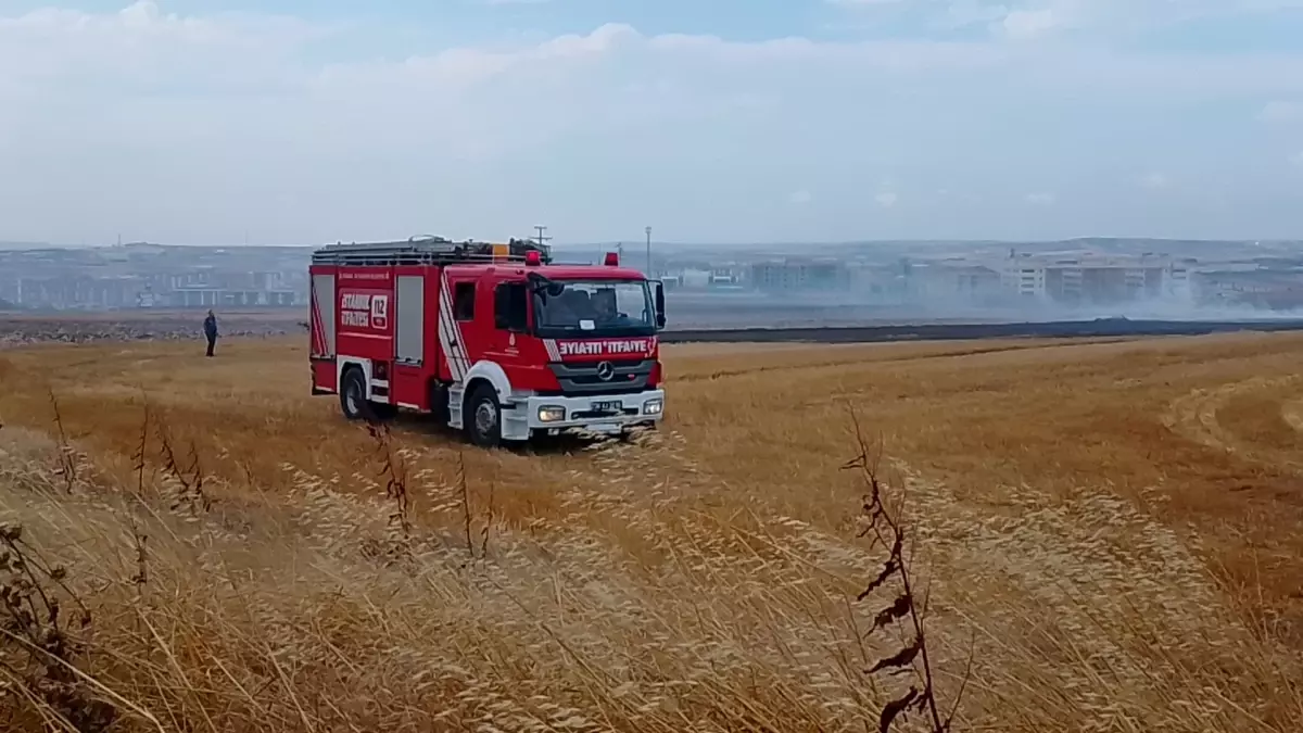 Silivri'de Otluk Alanda Yangın Çıktı