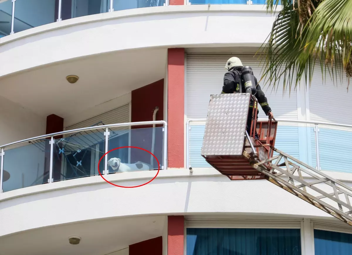 Antalya'da Yangın: İtfaiye Mahsur Kalanları Kurtardı