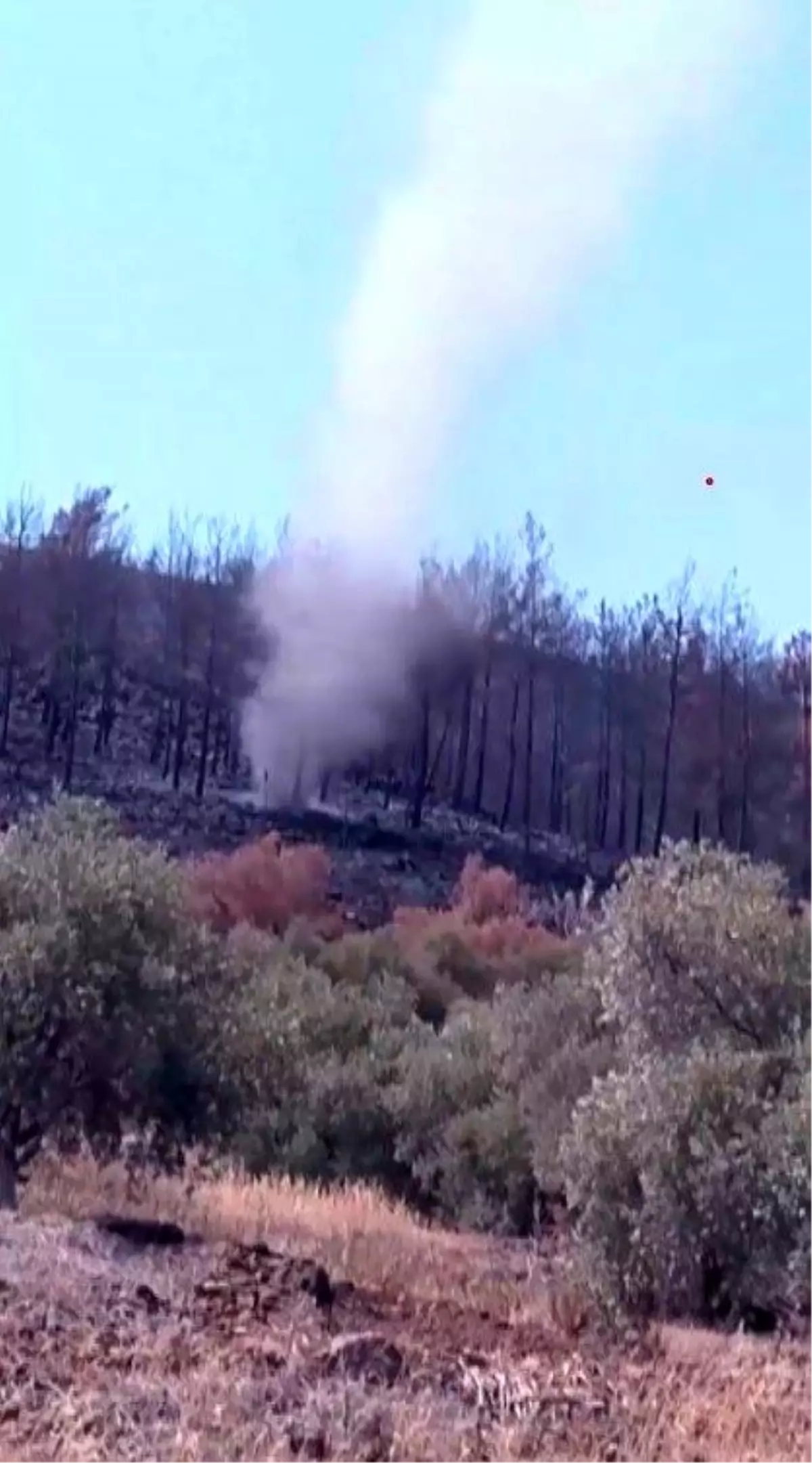 Hatay'daki Orman Yangınında Hortum Oluşumu Merak Uyandırdı