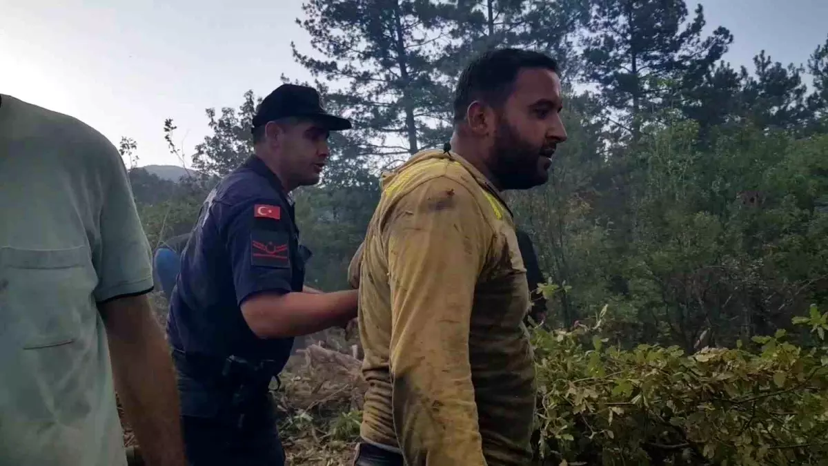 Karabük'teki Orman Yangınında Panic Anları
