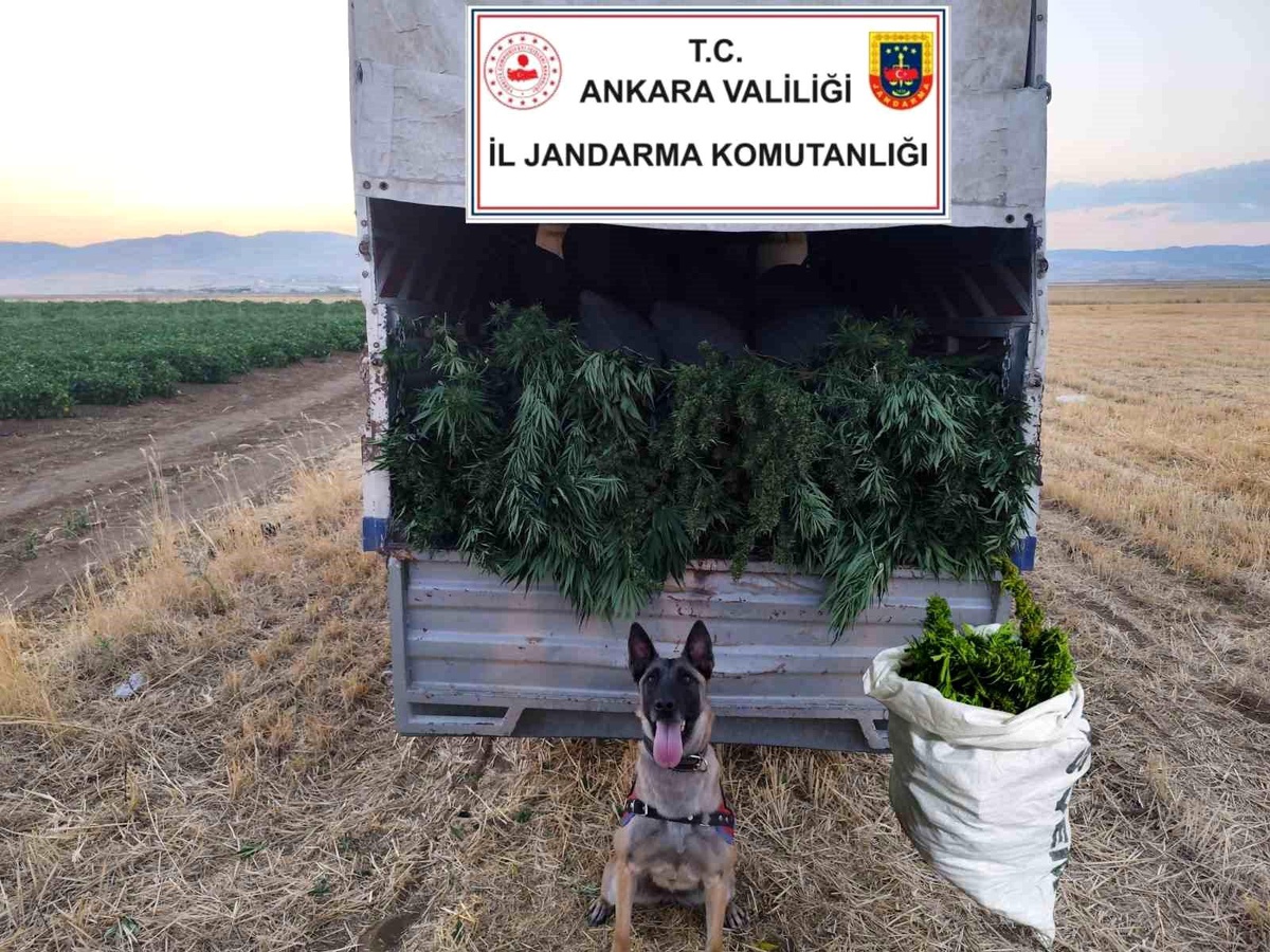 Ankara'da Uyuşturucu Operasyonu: 2 Gözaltı