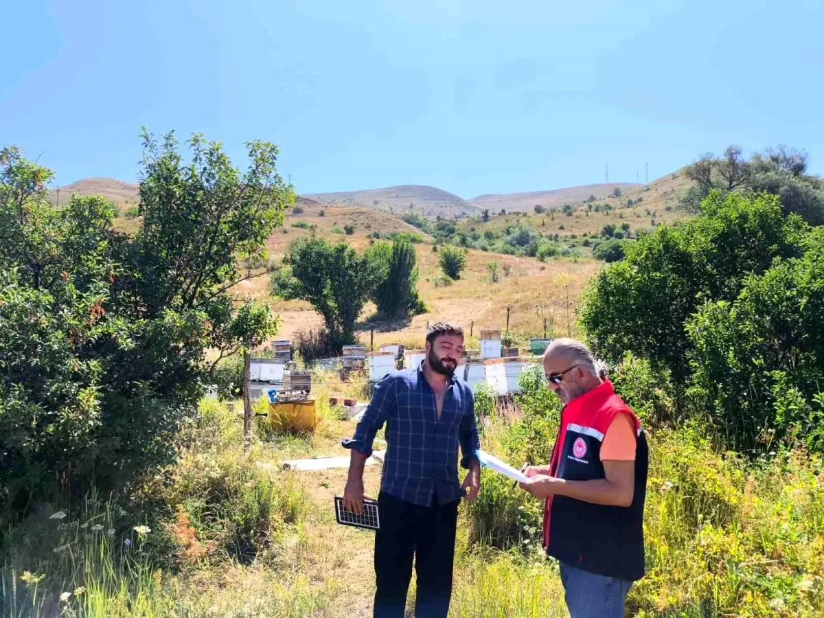 Bayburt'ta Arılı Kovan Desteklemesi Çalışmaları Başladı