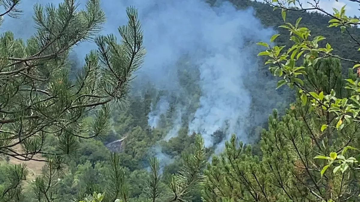 Bolu'daki Orman Yangını 1,5 Saatte Kontrol Altına Alındı