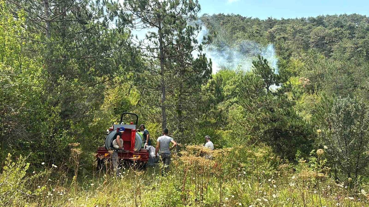 Bolu'da Orman Yangınına Hızla Müdahale Ediliyor