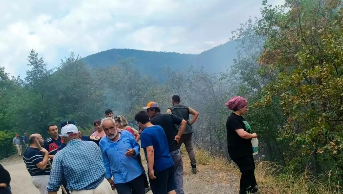 Kastamonu'da Orman Yangını Kontrol Altına Alındı