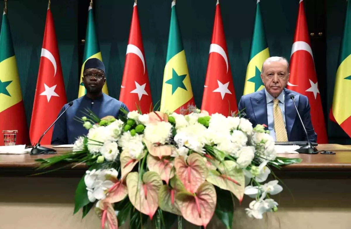 Erdoğan'dan Gazze ve Senegal Açıklamaları