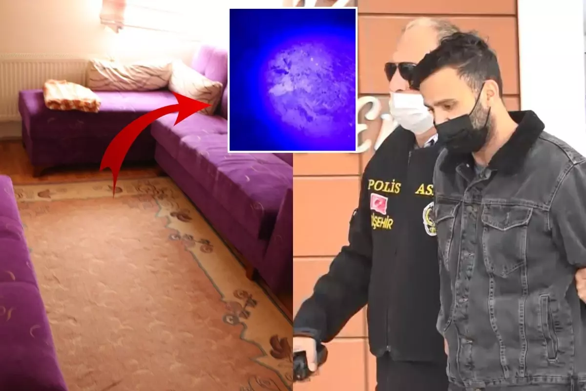 Seri katil soruşturmasında şüpheli eski sevgilisini baltayla parçalara ayırmış
