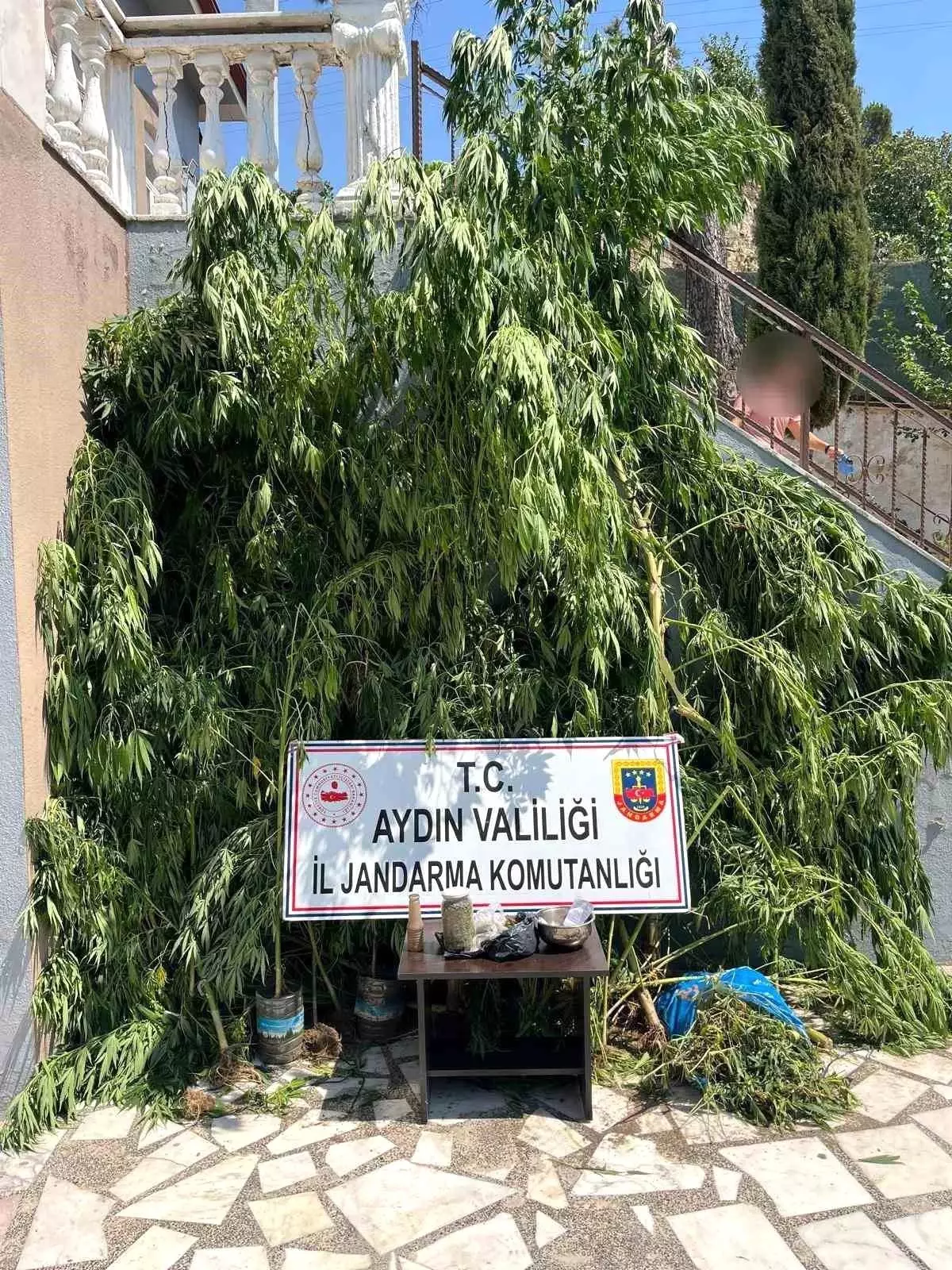 Jandarma, Aydın'da Uyuşturucu Operasyonu Düzenledi