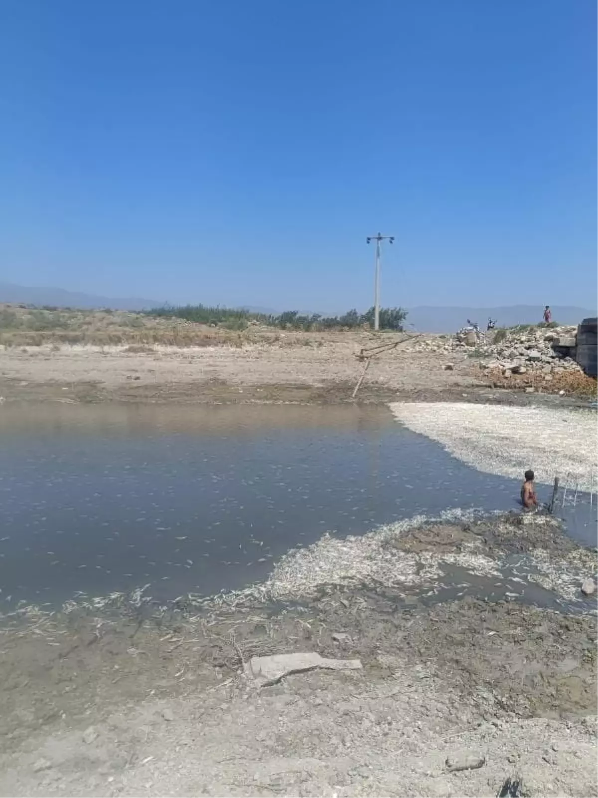 Antakya'da Su Seviyesinin Düşmesi Balık Ölümlerine Neden Oldu