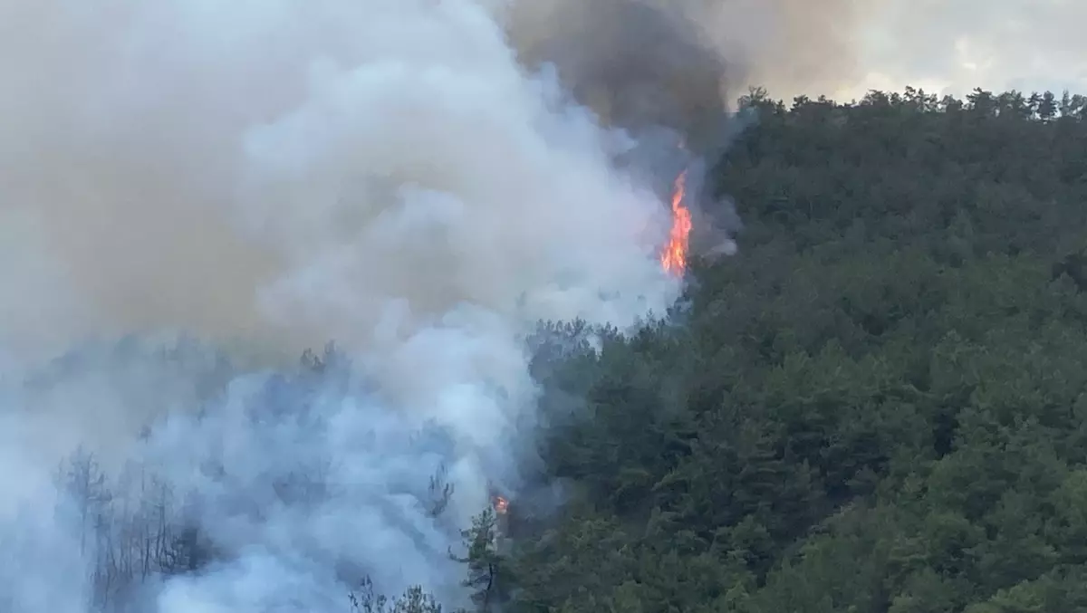 Karabük’te Orman Yangını Çıktı