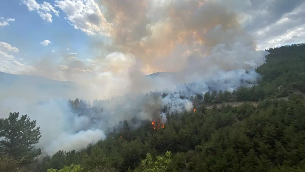 Karabük'te Yangınla Mücadele Devam Ediyor
