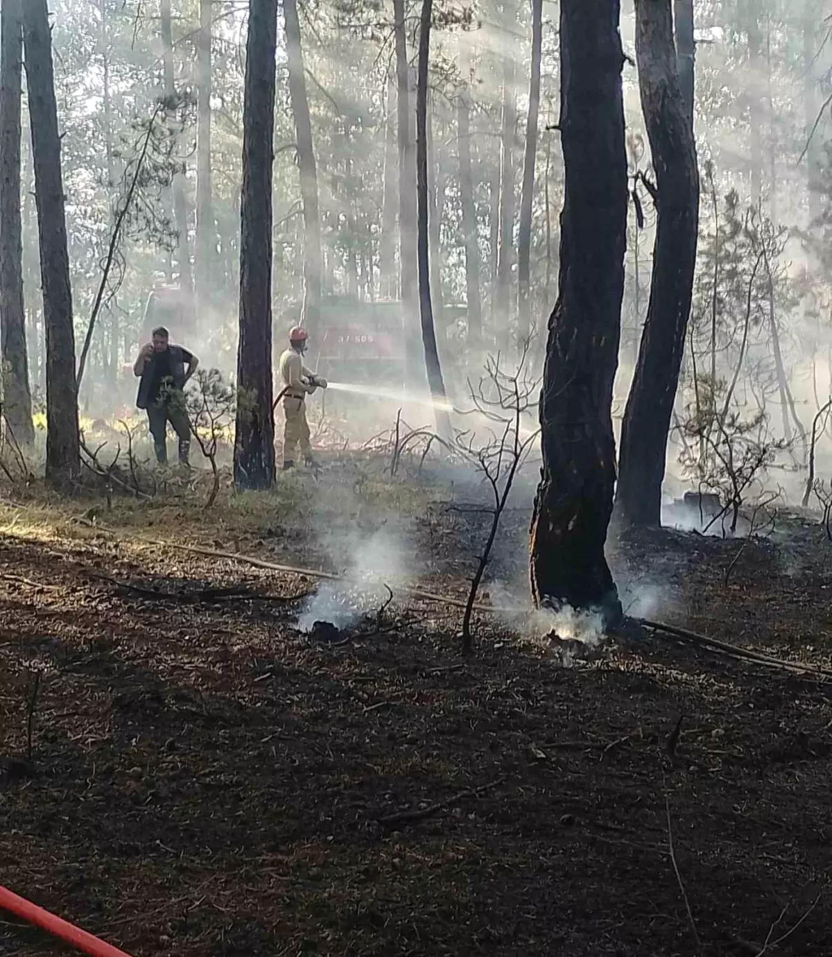 Kastamonu'da Orman Yangını Hızla Söndürüldü