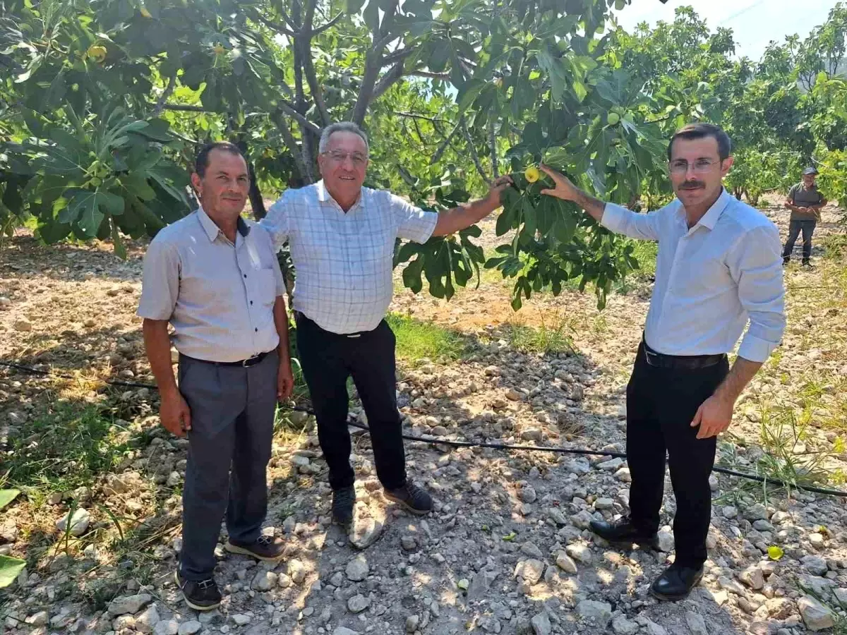 Kaymakam Polat, İncir Üreticileriyle Bir Araya Geldi