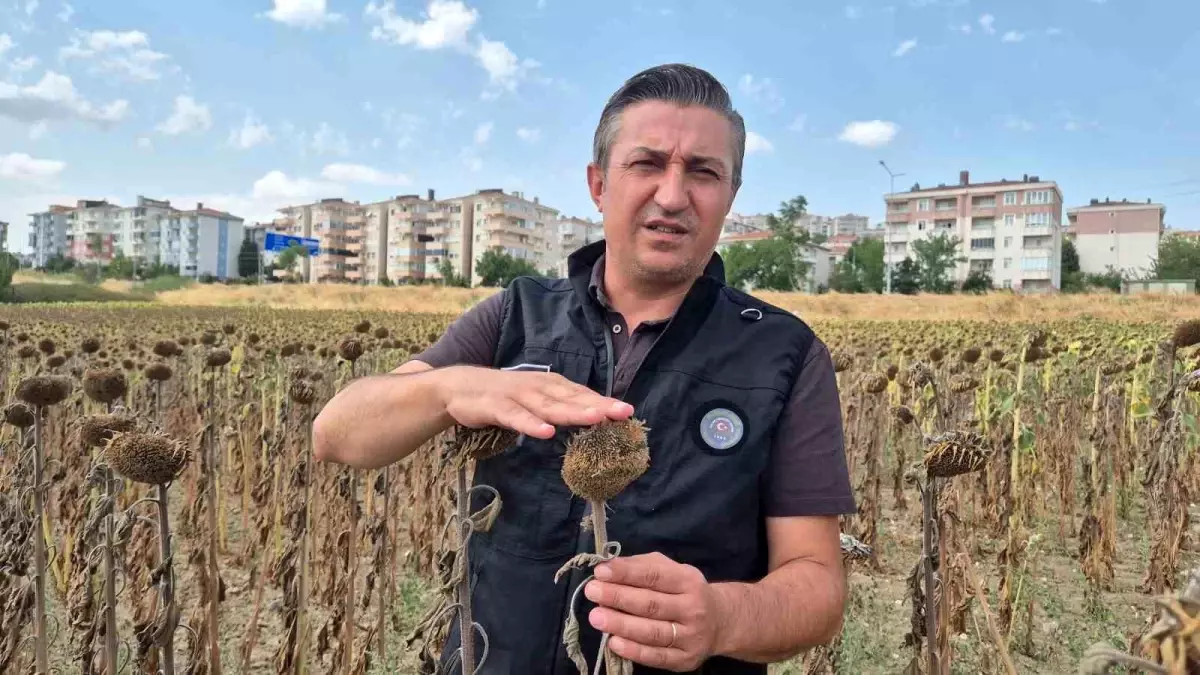 Ender Çeşme'den Trakya Birlik'e Sert Tepki