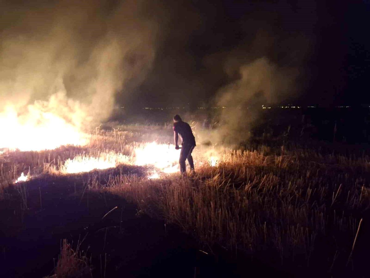 Muş'ta Anız Yangını Korkulu Anlar Yaşattı