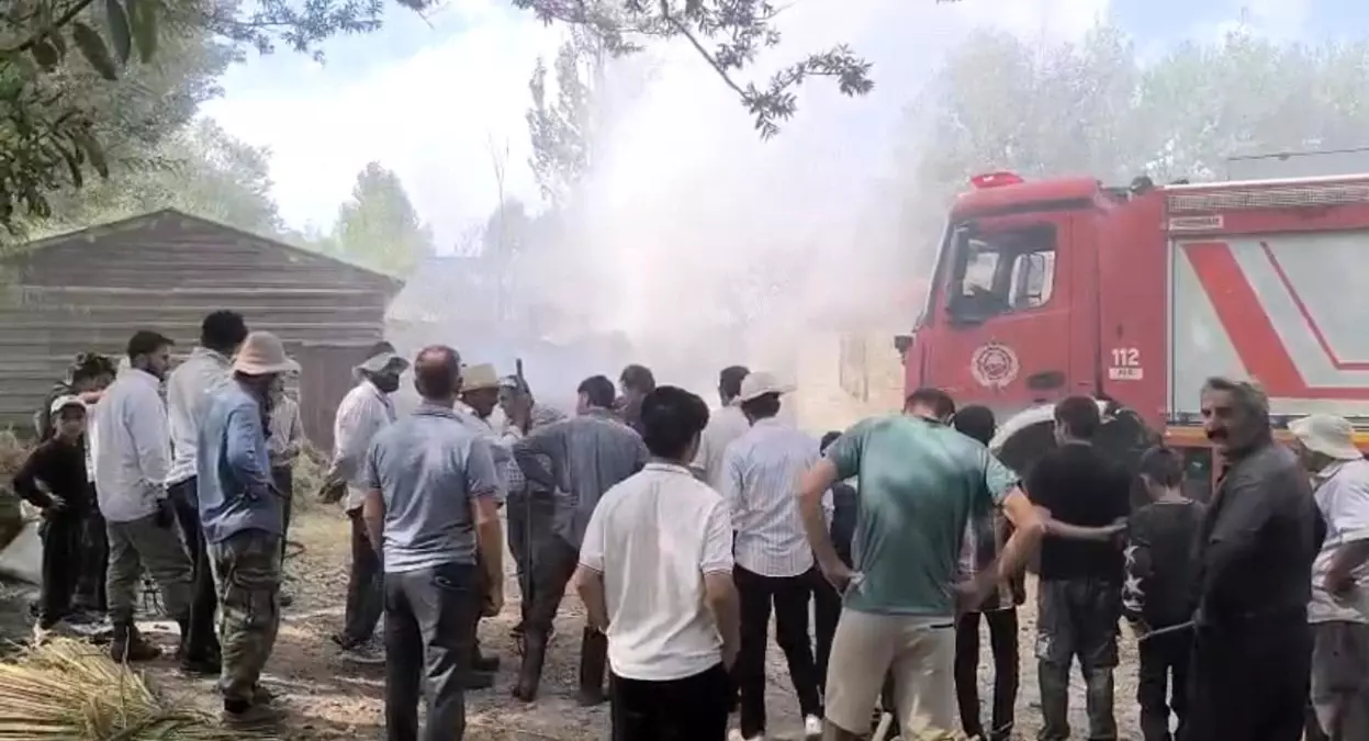 Yüksekova'da Yangın: Bin Bağ Ot Yanarak Yok Oldu