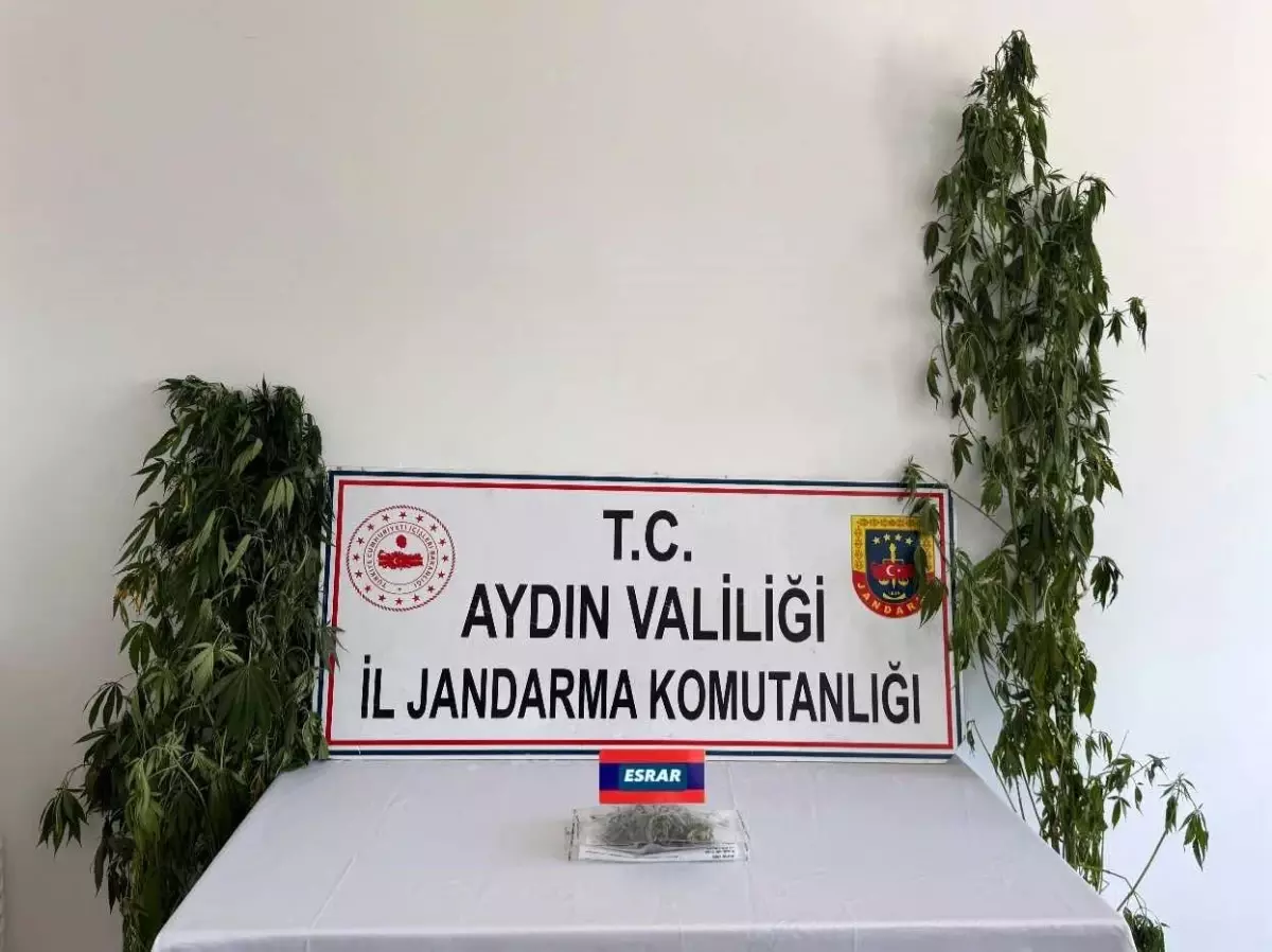 Aydın'da Uyuşturucu Operasyonu: 13 Şüpheli Yakalandı