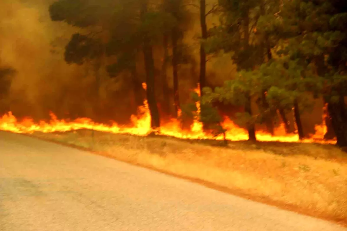 Çanakkale'de Orman Yangını: 3 Köy Tahliye Edildi
