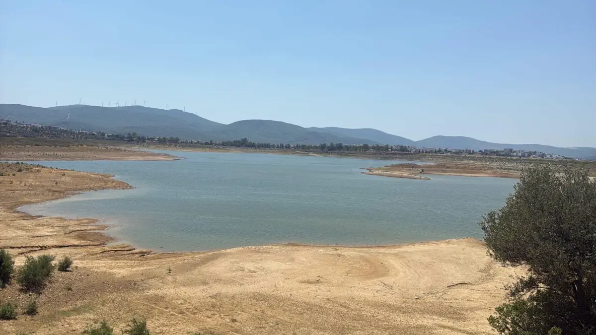Bodrum'da Su Krizi: Barajlar Tehlike Altında