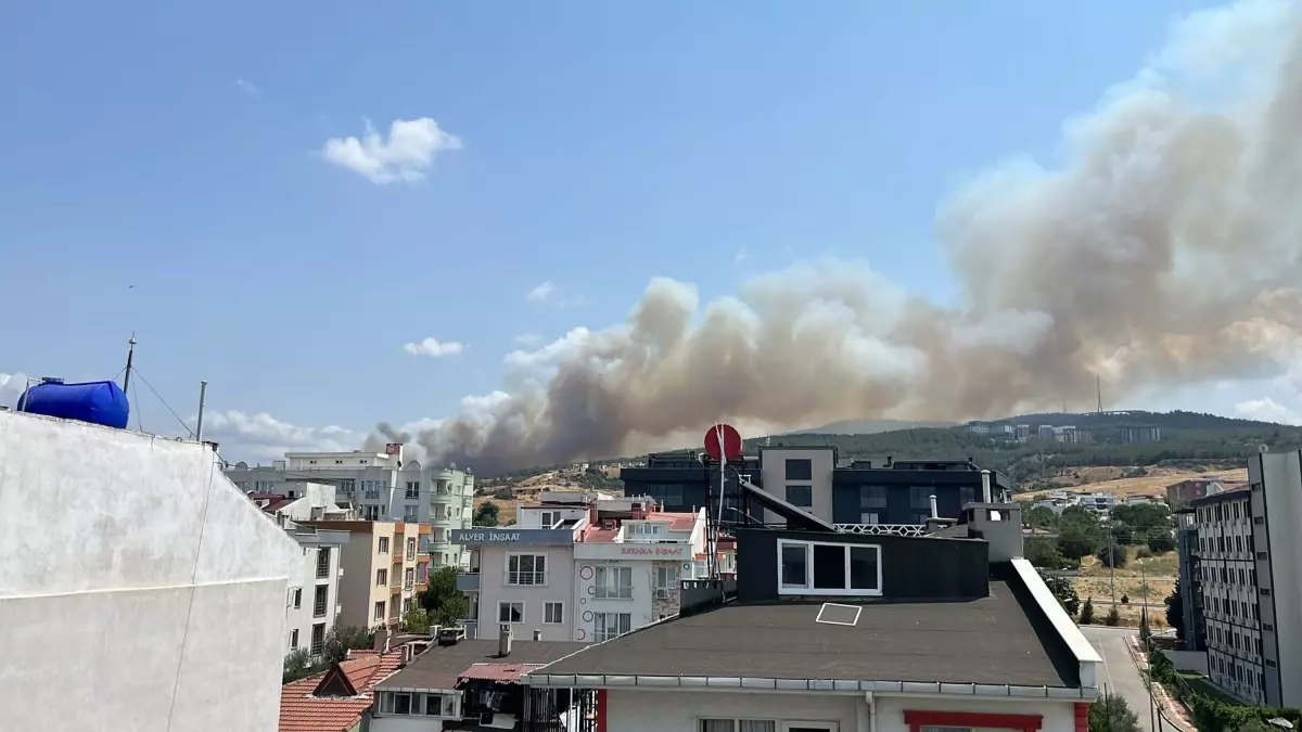 Çanakkale'de Orman Yangını Kontrol Altına Alınmaya Çalışılıyor