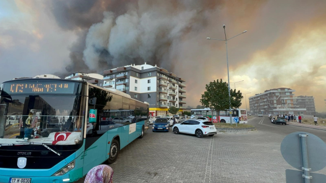 canakkale de orman yangini panige neden oldu 18927511 7691 m