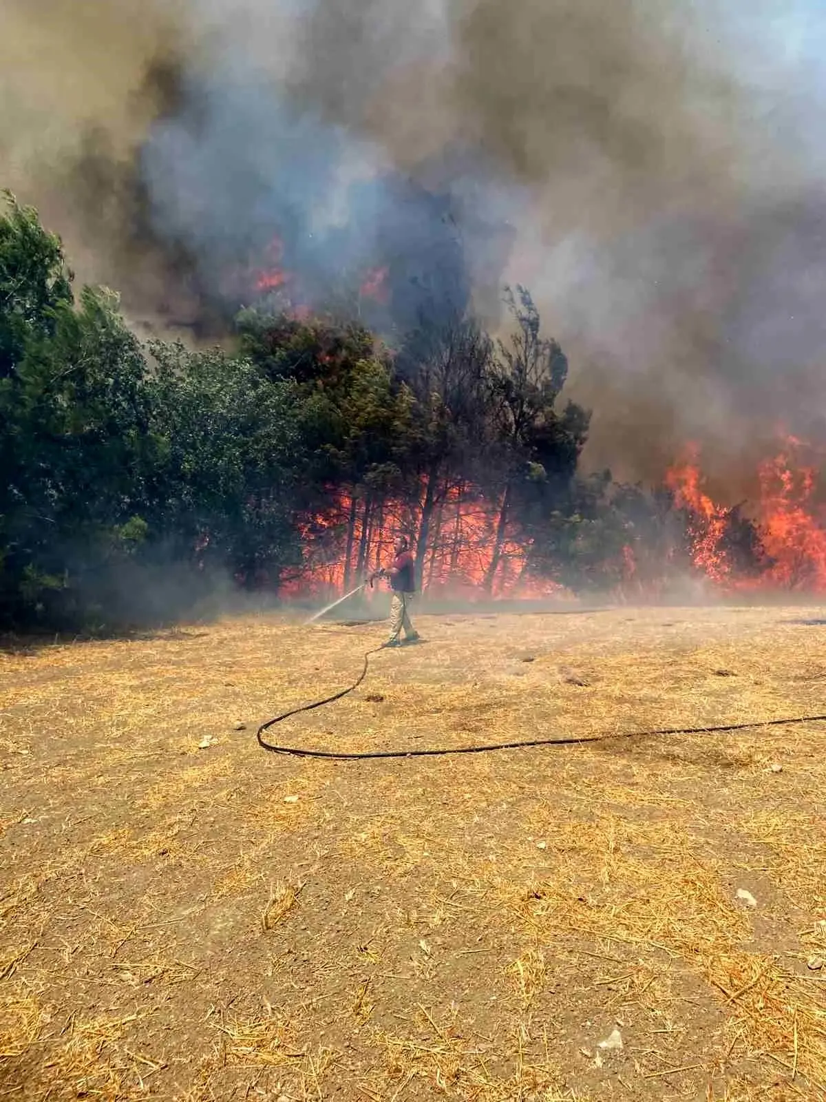 Çanakkale'de Orman Yangını Kontrol Altına Alınıyor