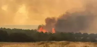 Çanakkale yangını, siyah araç kimin, siyah araç bulundu mu?