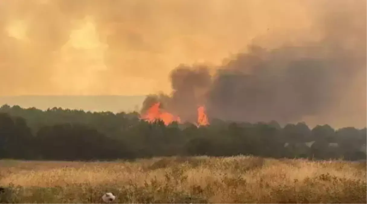 Çanakkale yangını, siyah araç kimin, siyah araç bulundu mu?