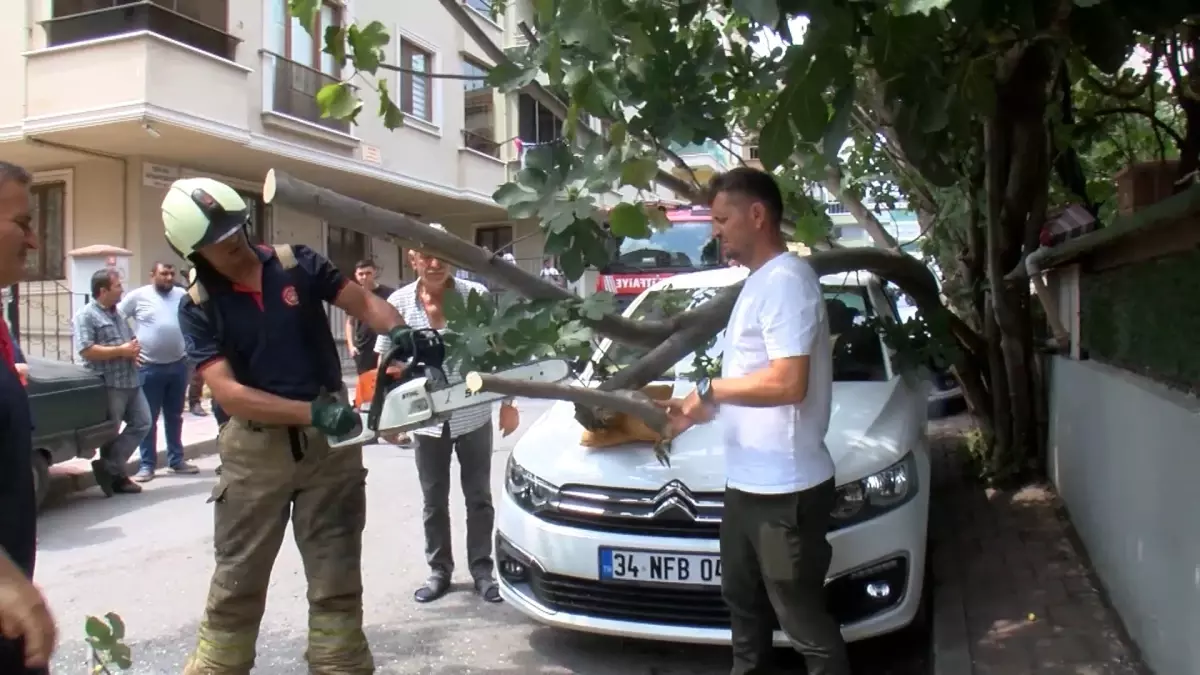 Çekmeköy'de Ağaç, Kamyonetle Çarpmanın Ardından Otomobilin Üzerine Düştü