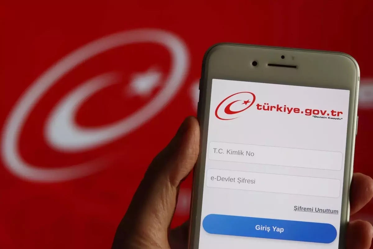 e-Devlet'ten yeni hizmet! Domuz eti kullanan restoranları listeleyecek