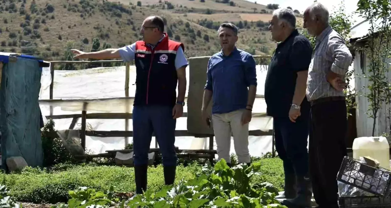Bayburt'ta Tarım Müdürü Eko-Köy'de İncelemelerde Bulundu