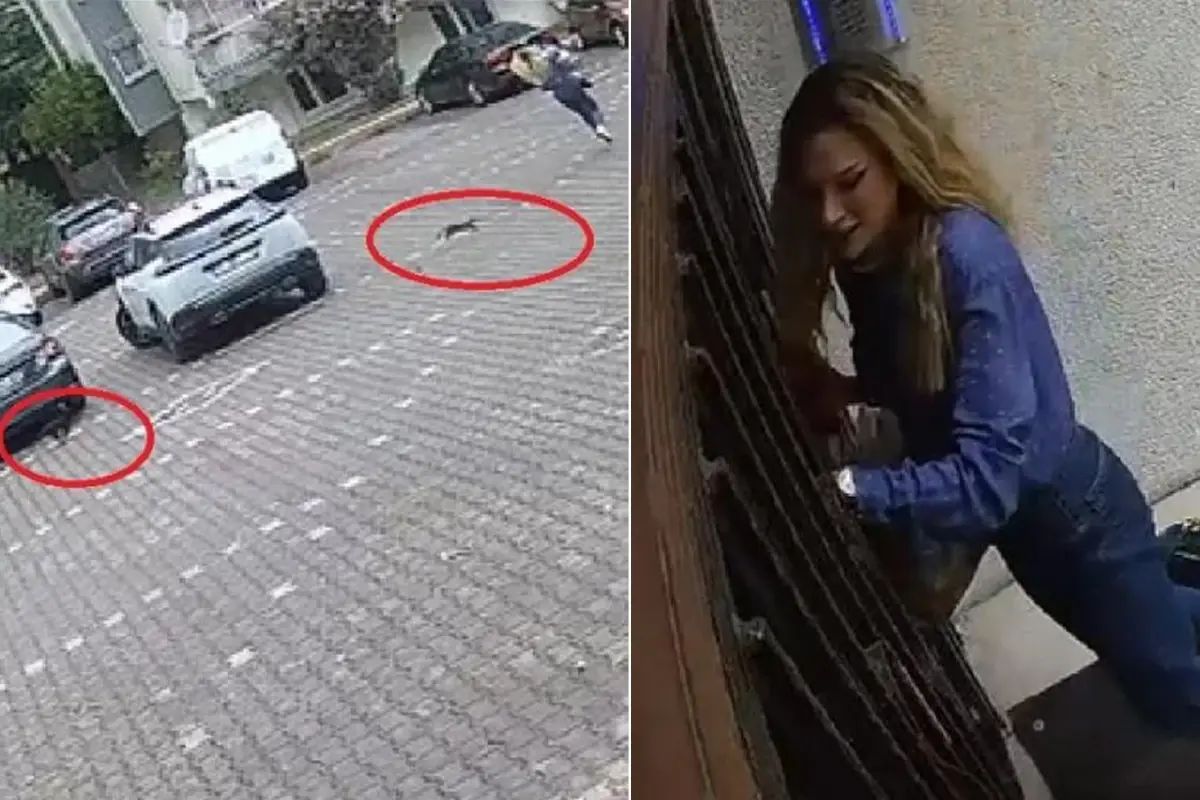 Genç kadın peşindekilerden dakikalarca kaçtı, videoyu izleyen gülmekten kırıldı