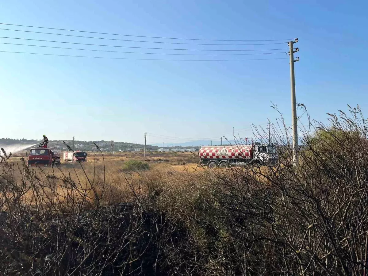 Balıkesir'in Gömeç İlçesinde Arazi Yangını Kontrol Altına Alındı