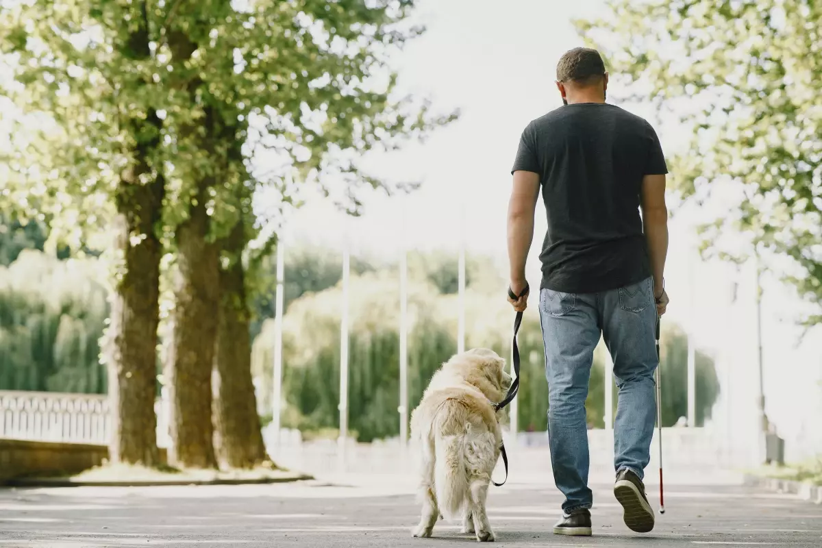 Rehber Köpeğiyle Tesislere Giremeyen Görme Engelliye Para Cezası