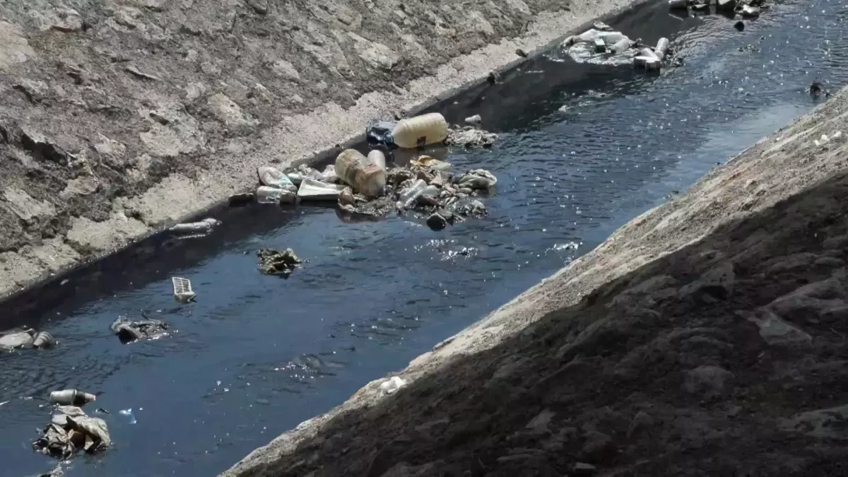 Cebeci Deresi'ndeki Kirlilik Alibeyköy Barajı'nı Tehdit Ediyor